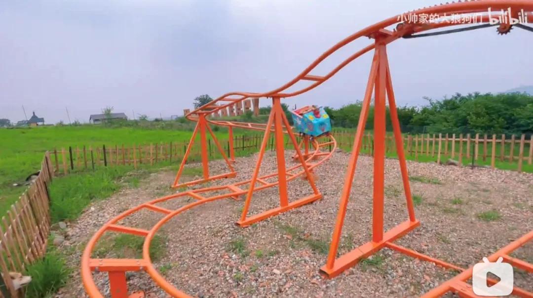 花三年建宠物乐园,花20万给狗打造乐园