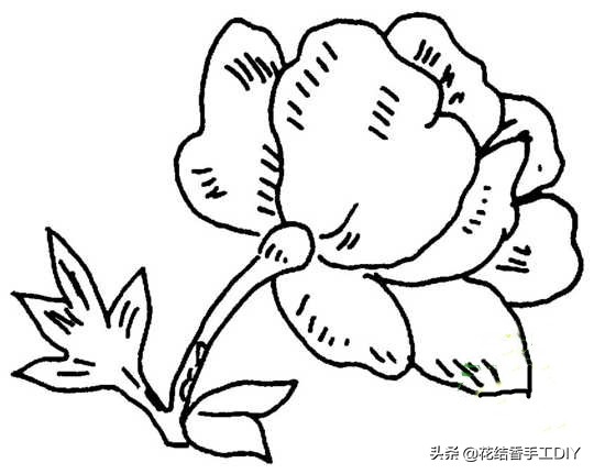 怎么学刺绣教程简单易学,刺绣技巧叶子的刺绣针法