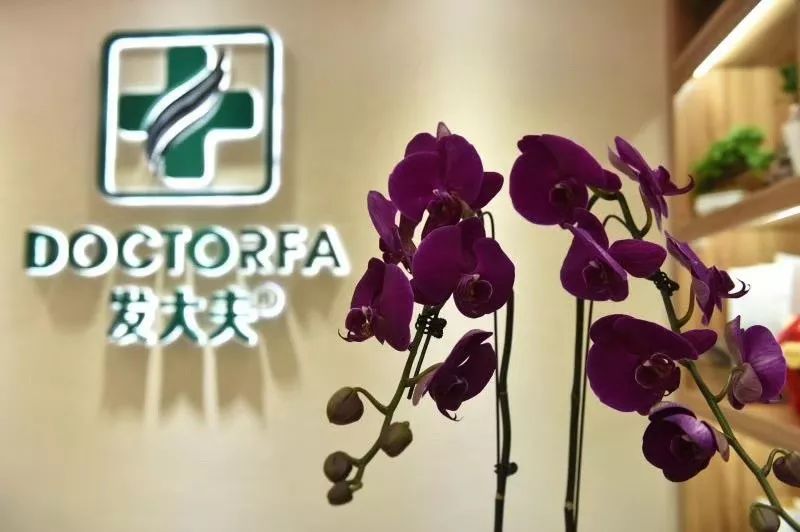 专家推荐治疗脱发白发食疗药酒,中医调理白发脱发养发