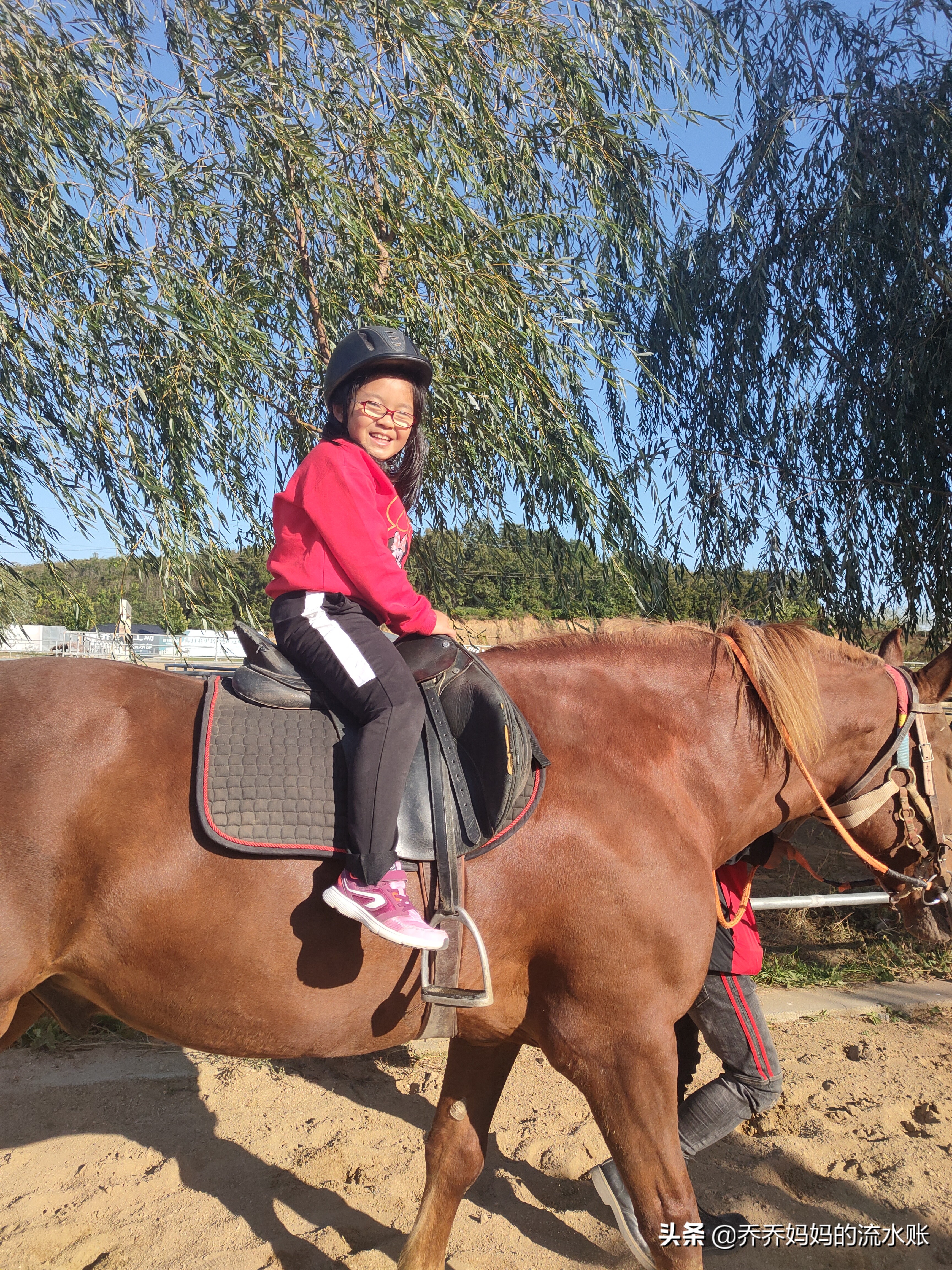 记录生活2020年5月,记录原生态牧场生活