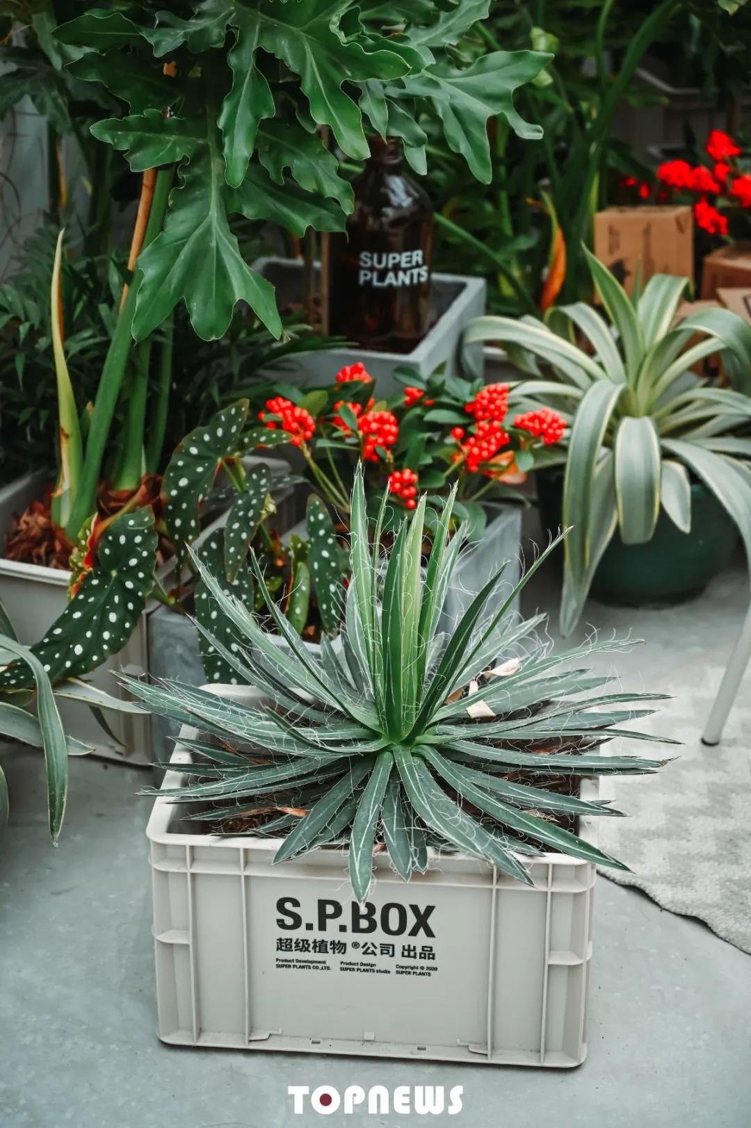 瞒不住了！魔都新晋小众创意园，随手一拍就是时尚大片