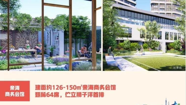 东莞滨海湾新区和前海,东莞滨海要变成市吗