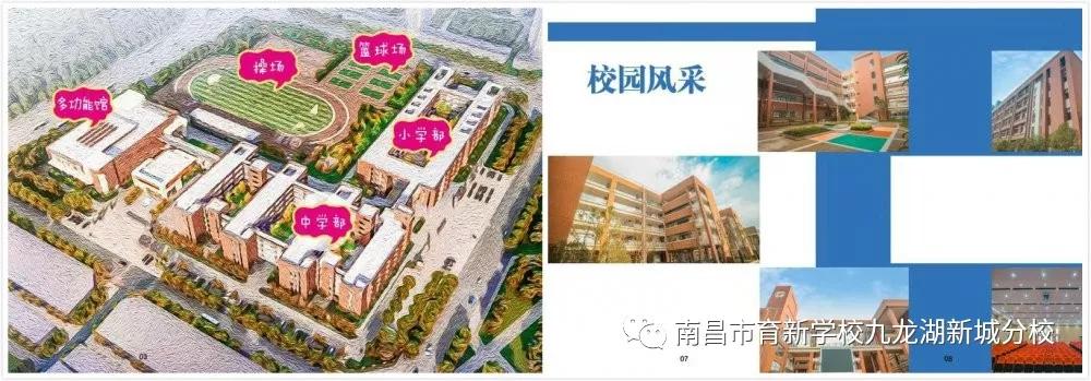 南昌育新学校九龙湖分校有小学吗,南昌育新学校九龙湖新城分校