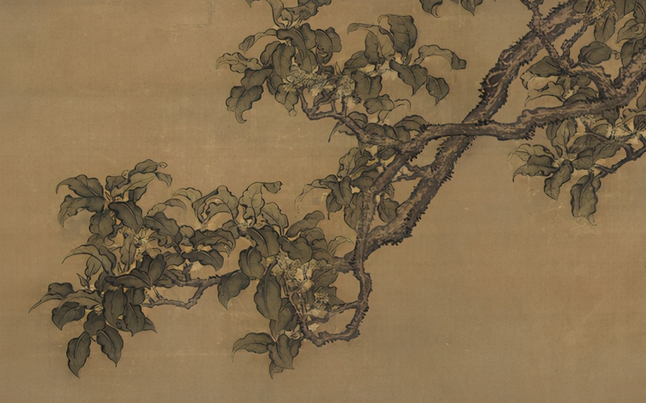 闻香如参禅，僧人清修所用香方