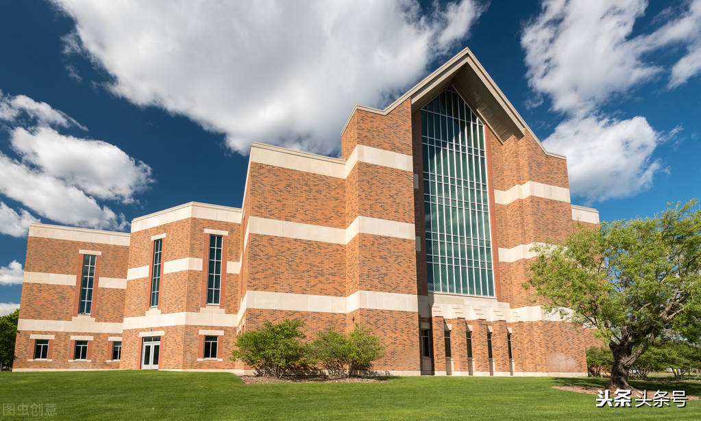 我的校园片段作文,我的校园五年级优秀作文