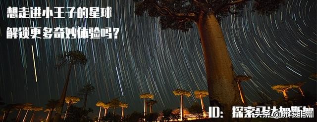 ​AlefaBarea！这到底是什么意思？|马达小科普