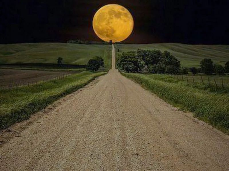 翻译专业就业前景待遇,现在翻译的就业前景怎么样