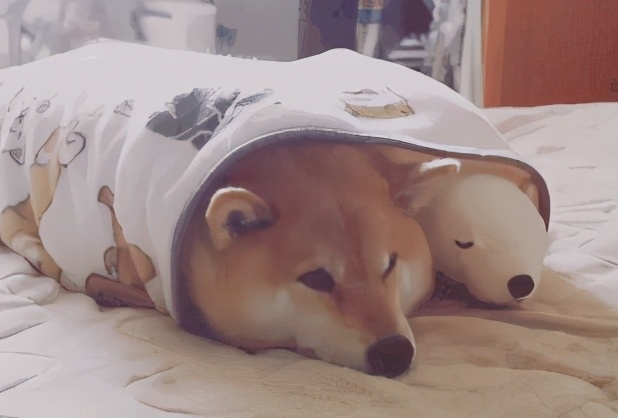 「TUTUMOMO小讲堂」五大你必须知道的床上套件常识