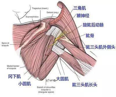 肌肉紧张？手臂发麻？你需要这套简单实用的瑜伽理疗方案