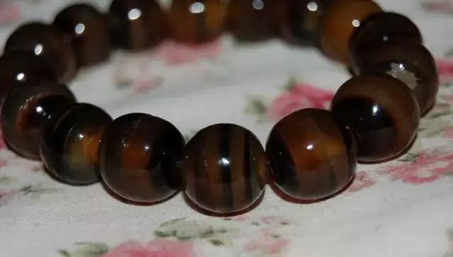 玳瑁海底软黄金,黄金玳瑁