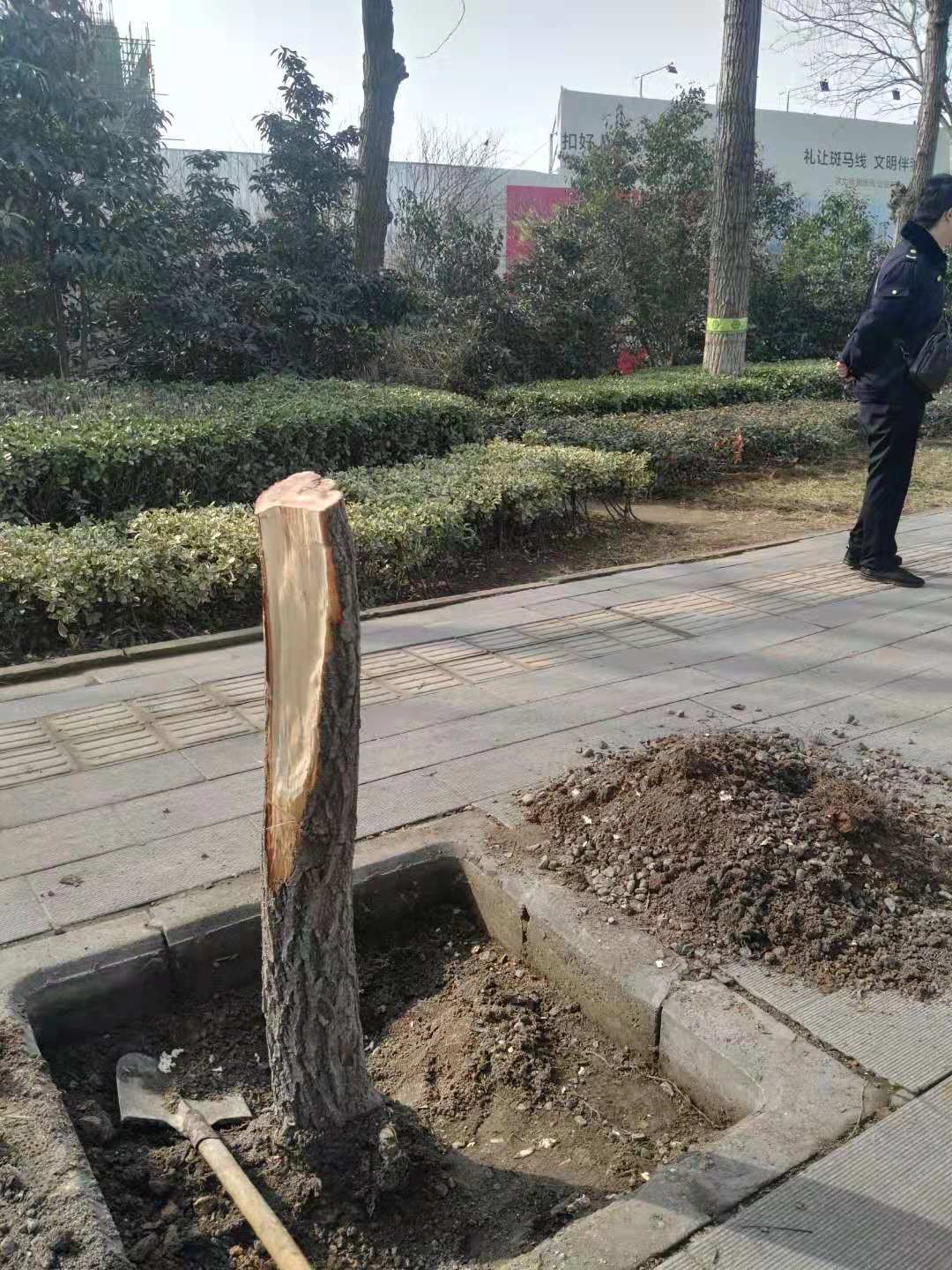 漯河市城市管理局综合执法,漯河市城市管理综合执法大队电话