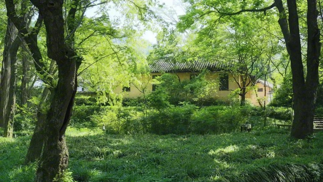 中华经典诵读作品100篇,古文经典诵读版