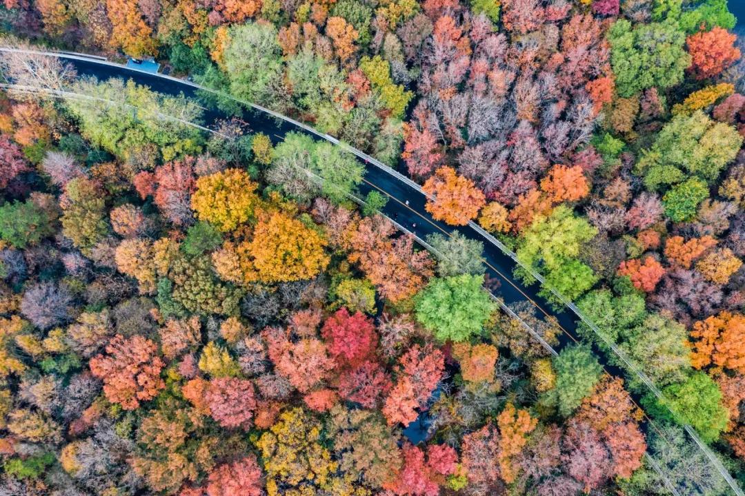 南京是属于哪个省的,南京是现在的哪个城市