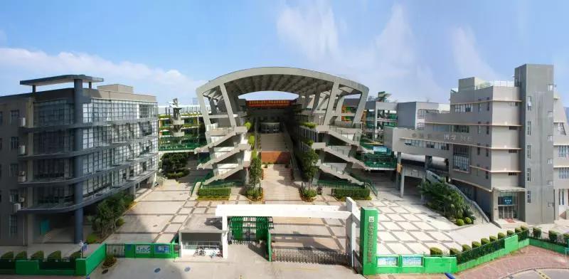 南山区外国语学校(集团)VS太子湾育才、深圳湾学校孰优孰劣