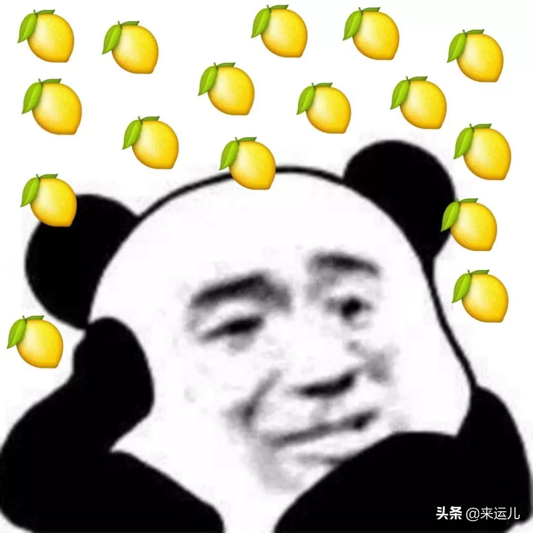 2019十大流行语公布哪个你最常用,盘点2019网络十大流行梗爆笑神曲