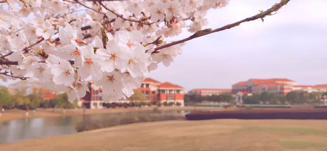 中国传媒大学南广学院专转本专业,南京传媒学院南广学院专转本