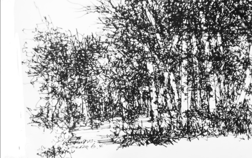 退休了想做什么工作,退休之后你想做什么