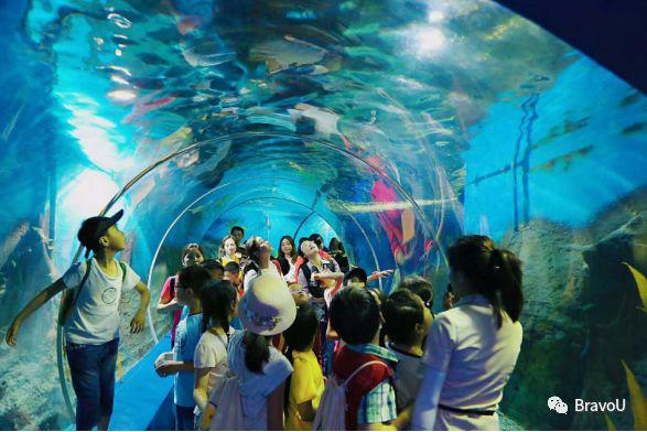 【慢游新天府，感受新成都】端午节特辑（二）|世界冠军蒋文文、蒋婷婷带你去逛川西林盘和特色小镇打卡地