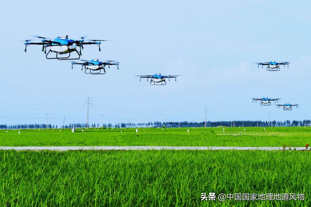 黑龙江和山东谁是农业大省,黑龙江和河南谁是第一粮仓