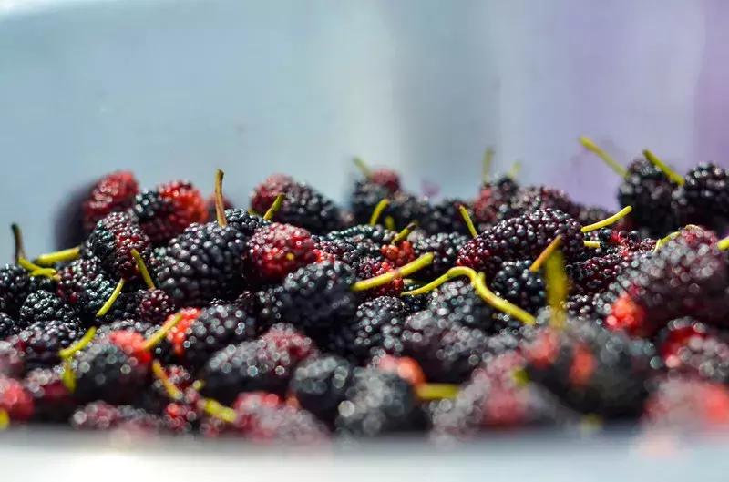 周末带娃摘草莓的一天,周末带孩子采摘去哪玩推荐