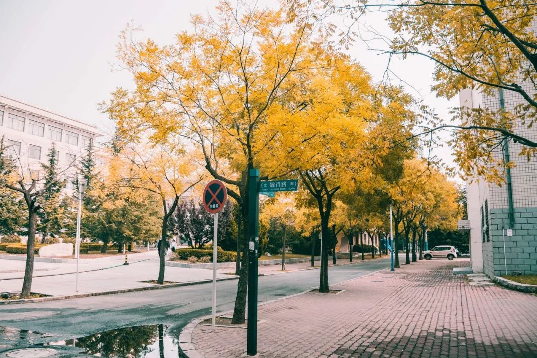 美过三亚！比厦门浪漫！中国这座海滨老城，去一次相当于环游世界