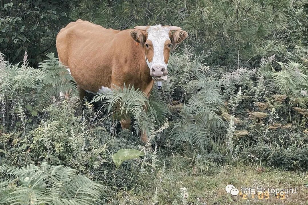 9月假期,9月很忙的句子