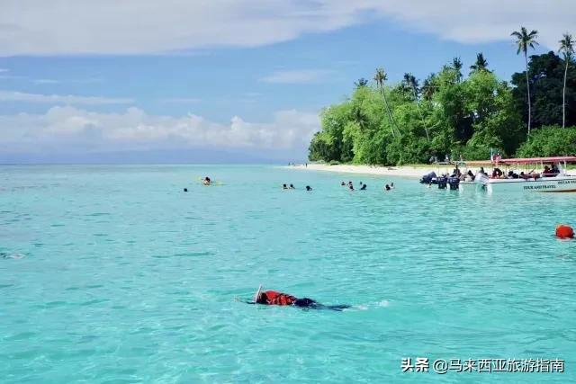 建议在哪里拿潜水证,如何免费学习潜水证