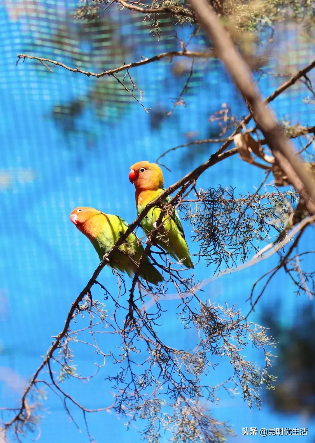 昆明周边亲子游乐场,昆明大型亲子乐园