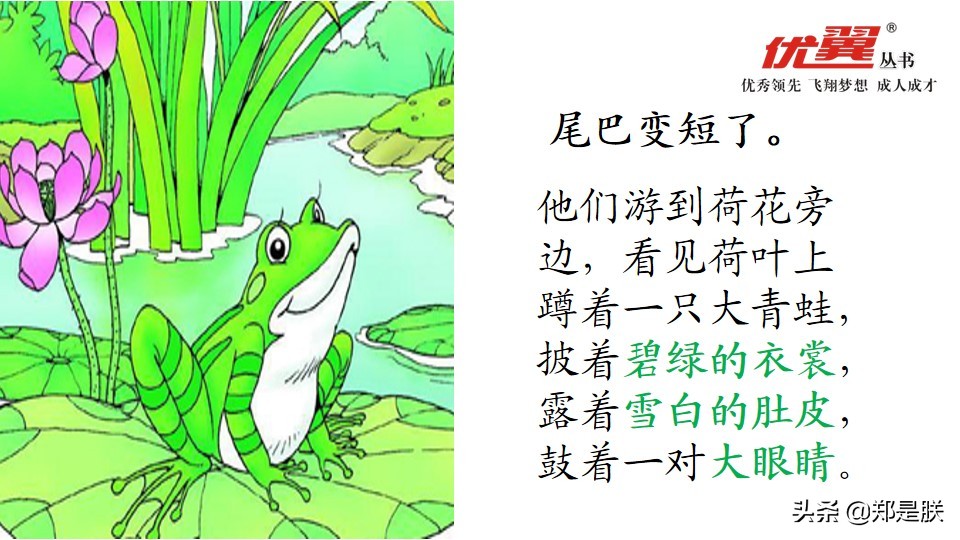 二年级小蝌蚪找妈妈诵读,二年级语文第1课小蝌蚪找妈妈