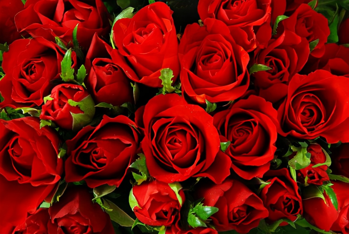 1969年,黄国华美籍妻子哭着说:我接到的任务是,*杀暗**毛*东泽**