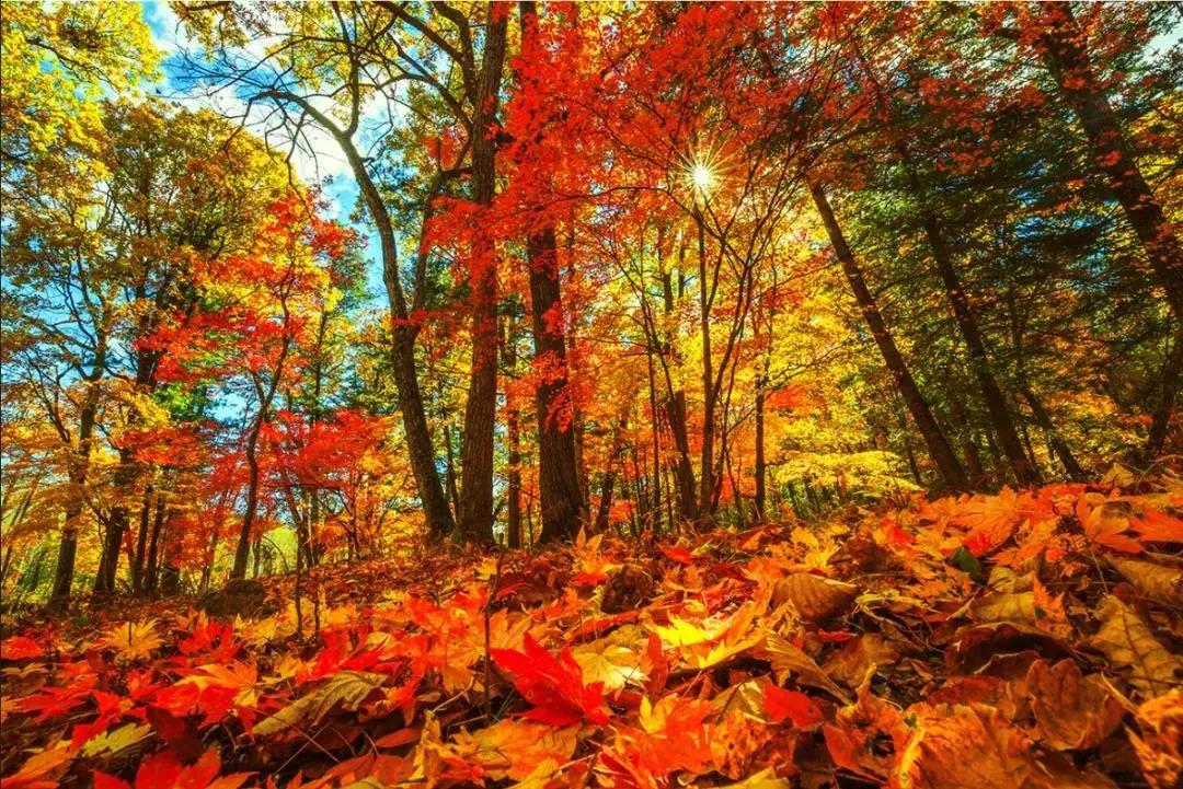 旅游景点畅玩团购,景点游玩优惠团购