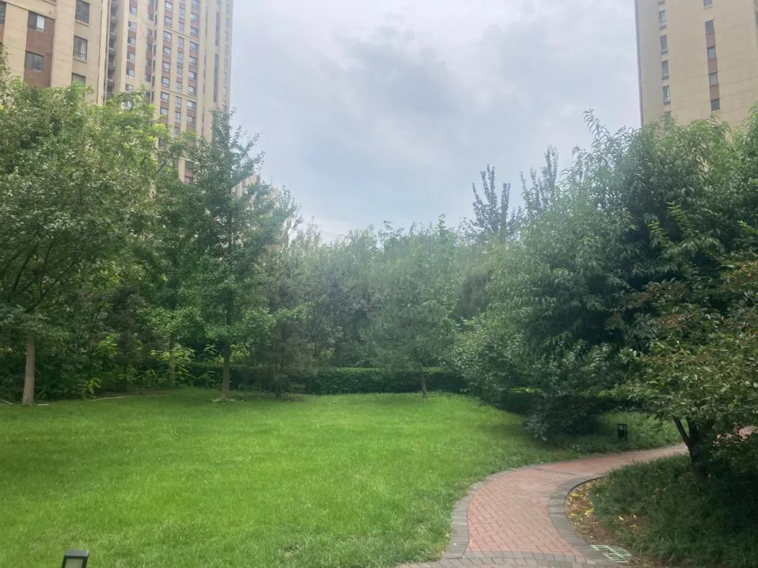 一线城市地铁口商住能买吗,2万以下地铁房哪里买最好