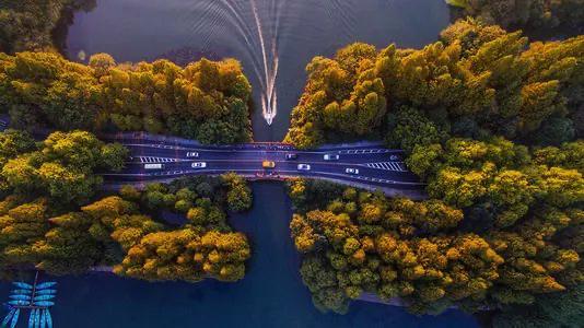 孩子暑期必看的50部神级纪录片,适合孩子和家长一起看的纪录片