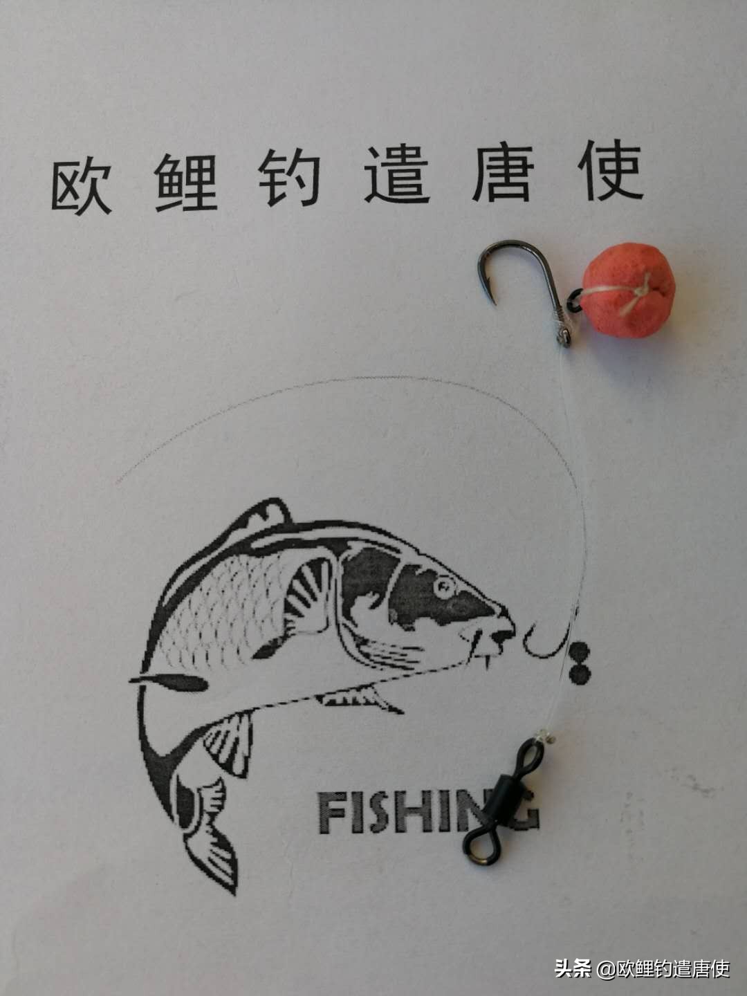 话说欧鲤钓最新消息,话说欧鲤钓鱼完整版