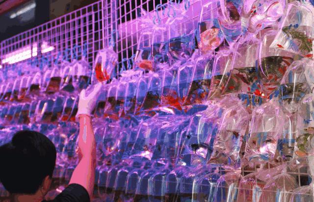 香港小众地点大全,香港最好逛的地方