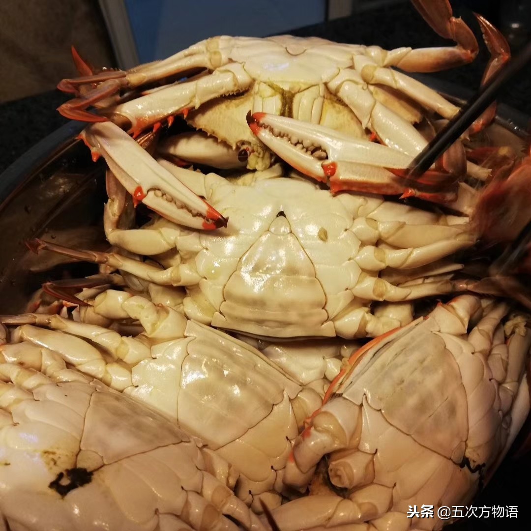 青岛市场帝王蟹种类,海鲜市场都有什么海蟹品种