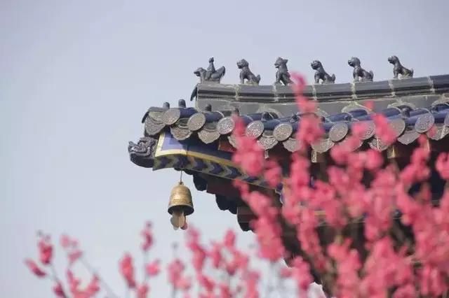 南京的春天,南京的春天视频