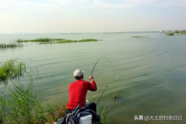 老是切子线跟鱼竿有关系吗,为什么短子线钓大鱼容易切线