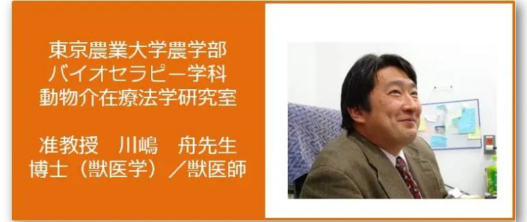 日本皇室佳子公主最新视频,日本皇室颜值担当佳子公主