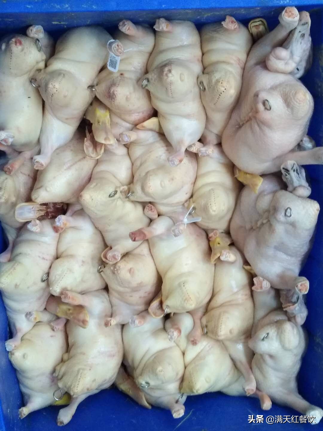 潮式烧鹅和广式烧鹅区别,广东烧鹅怎样去毛