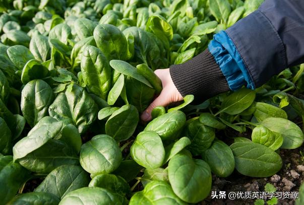 classmates什么意思 (classtrip文章)