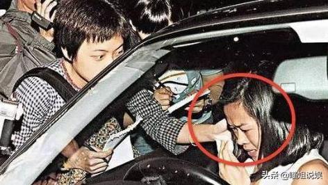 香港第一小三,香港第一女神刘銮雄