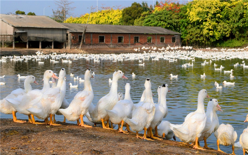 50岁的人怎么提升自己做生意,人到中年转行做什么小生意