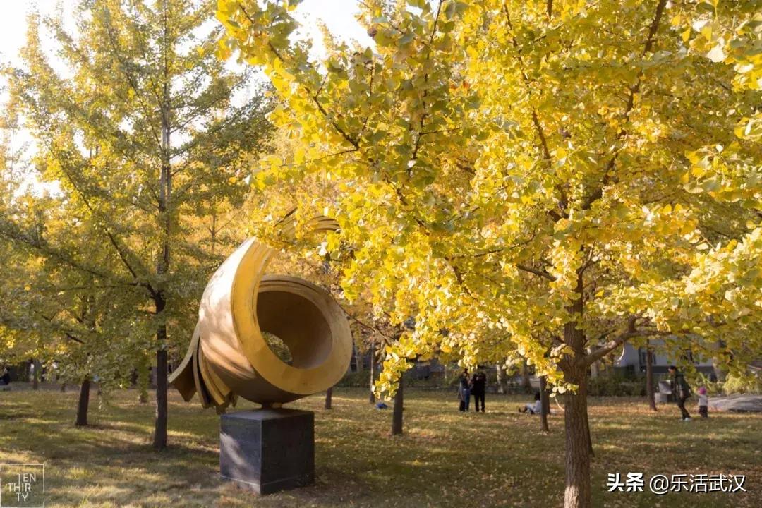 原来武汉有这么多好玩的打卡地,武汉周边新晋7大网红打卡地