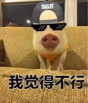 猫狗口腔清洁测评,猫狗洁齿水测评