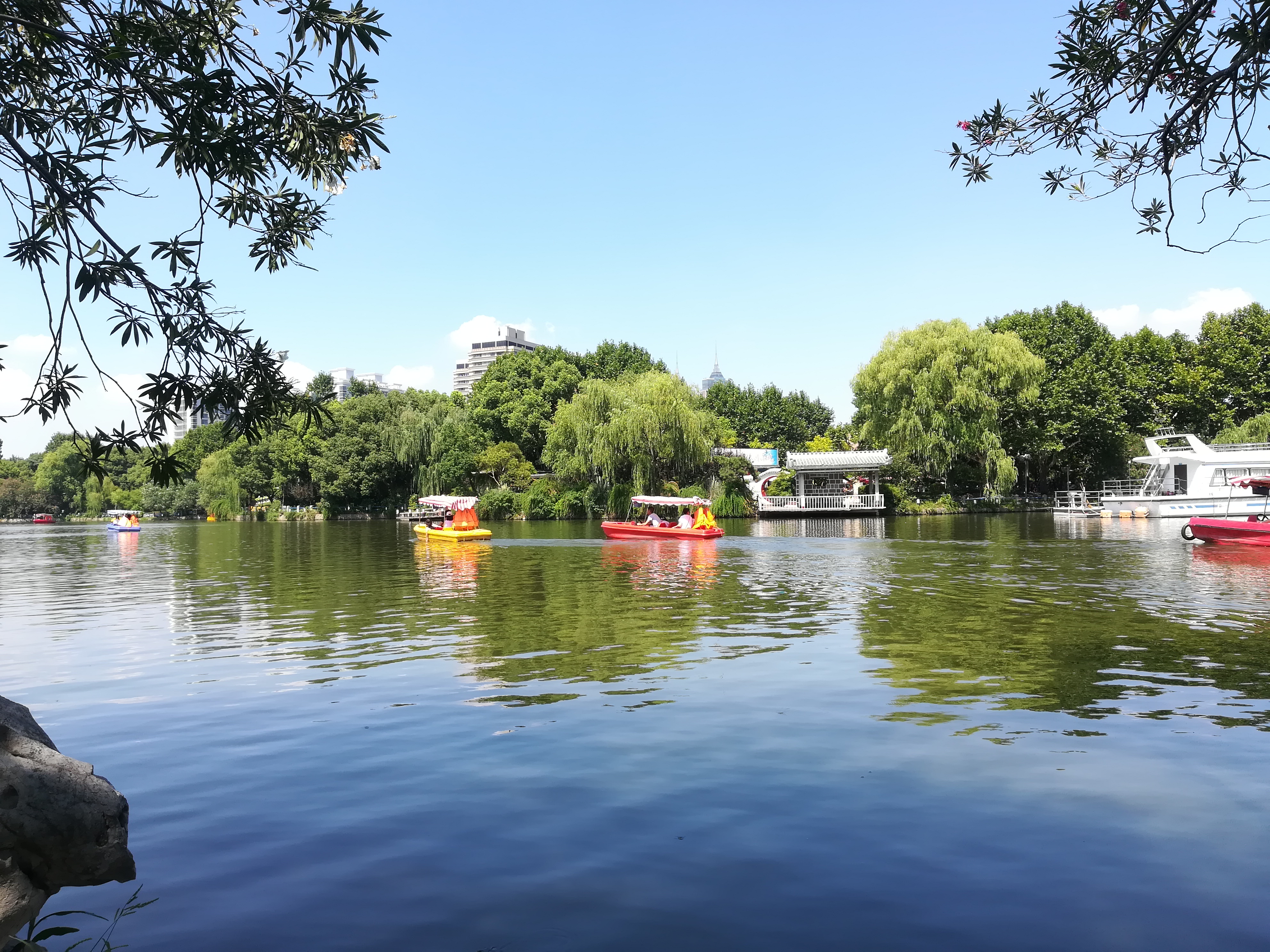 上海长风公园钓鱼,上海长风公园改造计划