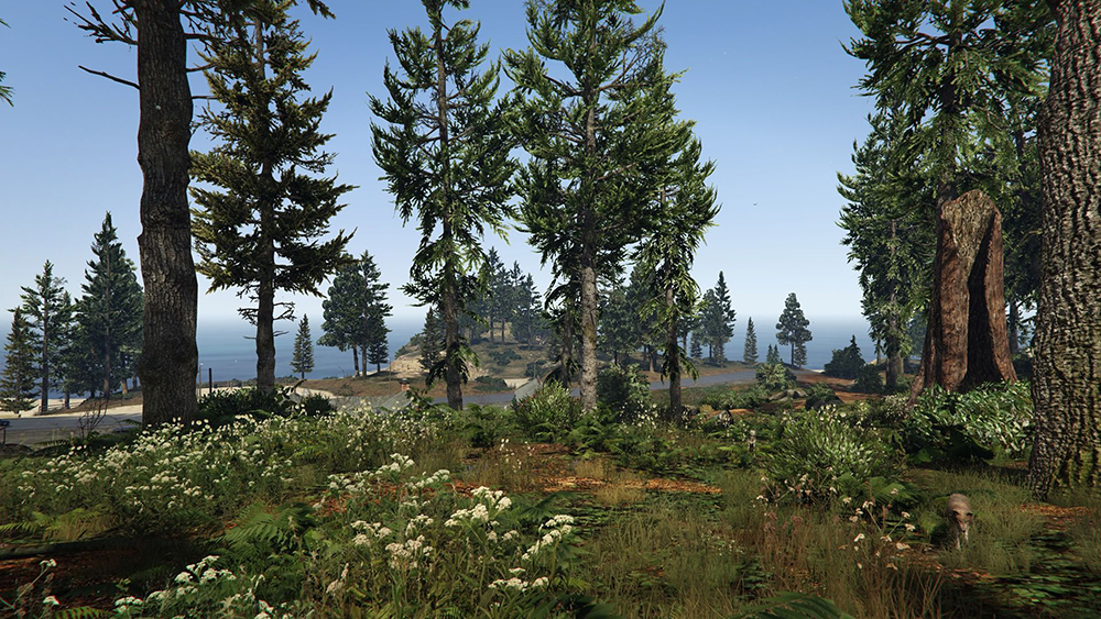 gta豪华版免费包含什么东西,gta豪华版的车能一直免费吗