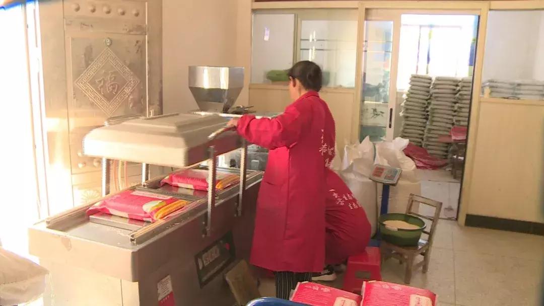 花桥镇种养合作社,花桥镇农业种植