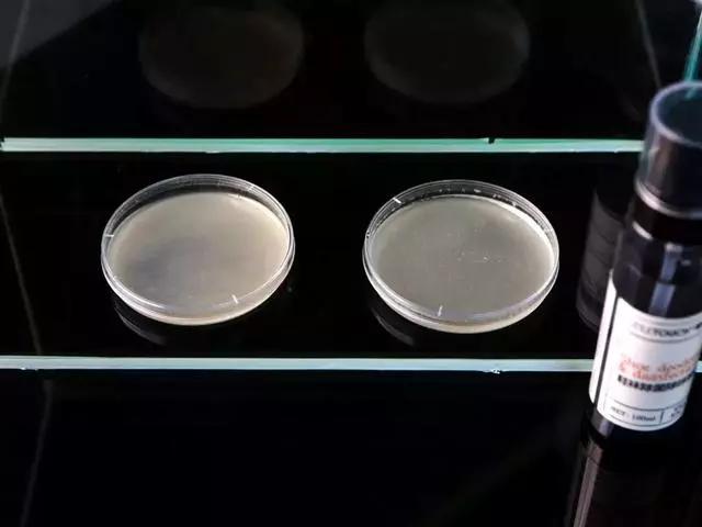 “脚臭”最怕脱鞋尴尬？随身带瓶鞋袜除味喷雾，还你自信每一天