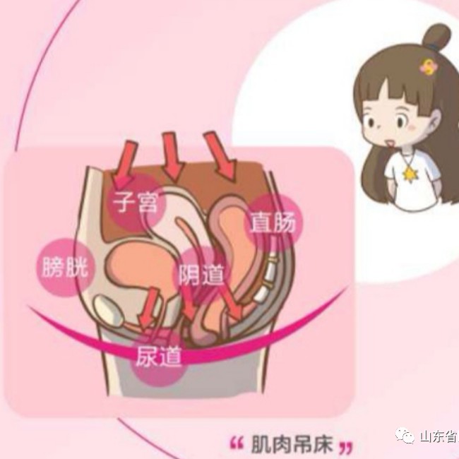 有关盆底肌修复讨论的话题,盆底肌障碍有哪些